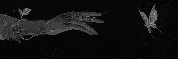 lulledchaos Profile Banner