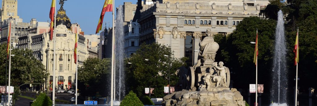 David González banner