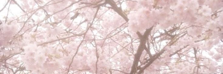 juli ✿ ⊹˚. banner