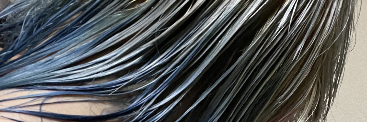 SO-TA banner