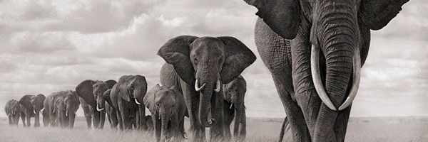absivam's profile banner image