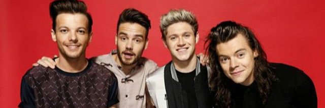 Team 1D Updates banner