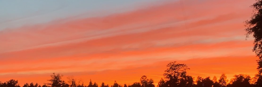 MackenzieMugave's profile banner image