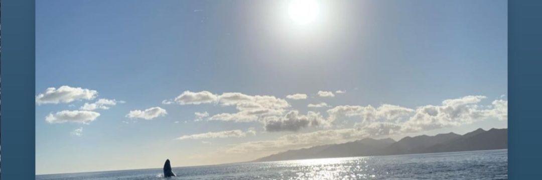 RajAzadOO7's profile banner image