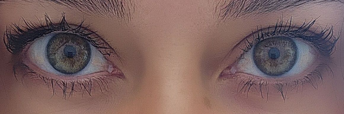 Elle.Untamed banner