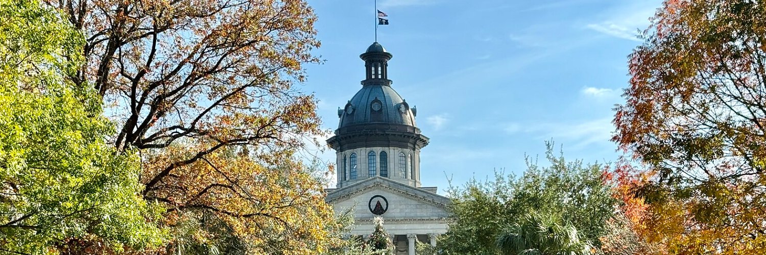 Mullins McLeod for SC Governor banner