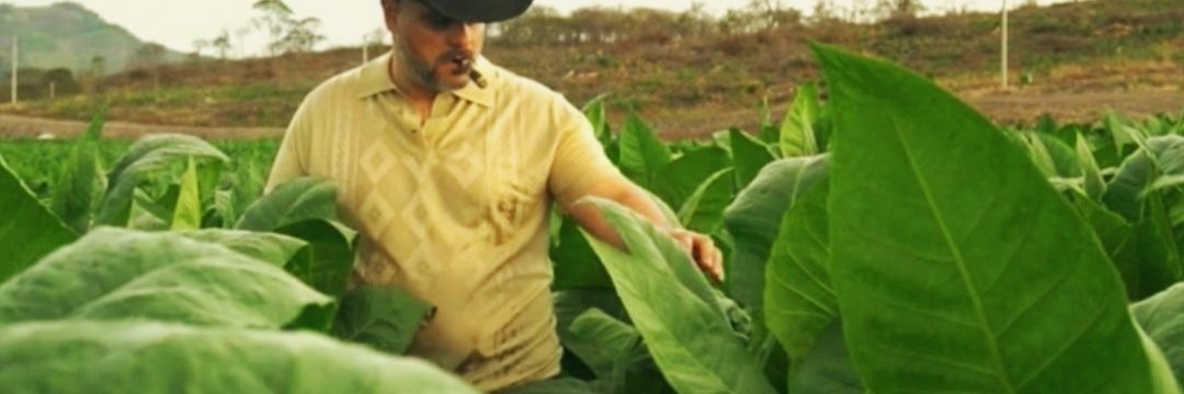 Stallonecigars's profile banner image