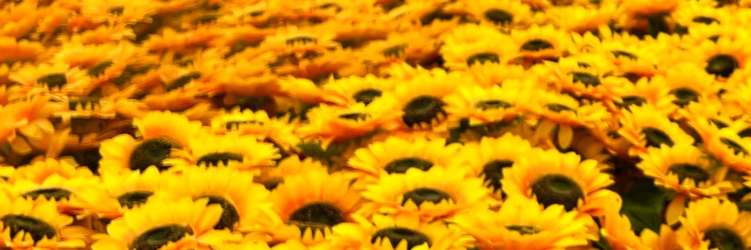 Pete Smith 🇺🇦 banner