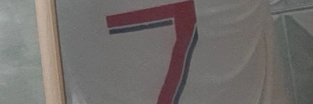 pelo_certo333's profile banner image