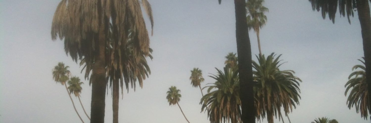 Rachel Blaine banner