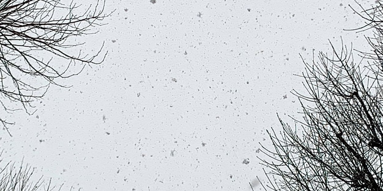 shane walter banner