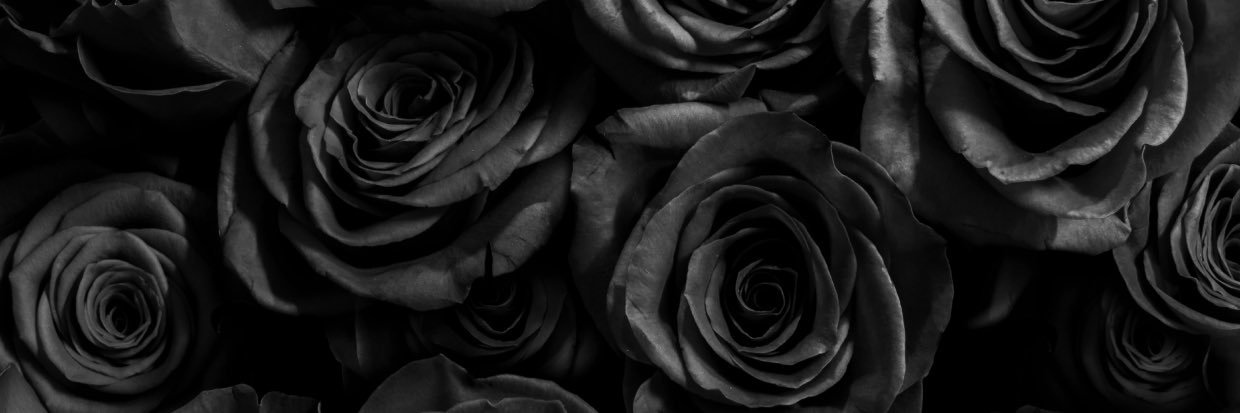 ParisLior's profile banner image