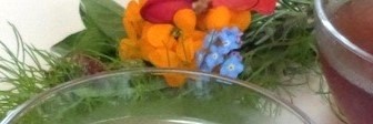 herbalcreator's profile banner image