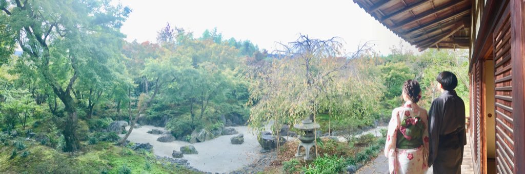kii_cdsn's profile banner image