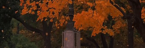 blisfwl 🍂 banner
