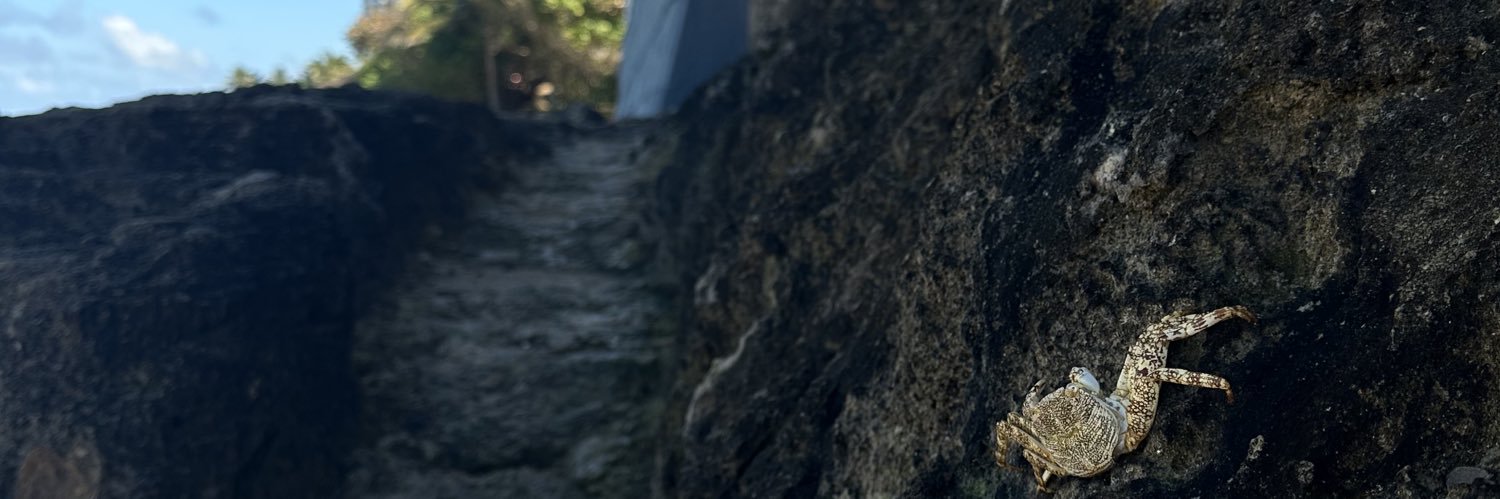 alesenavidad's profile banner image
