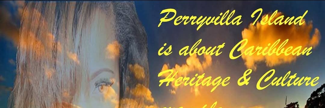 perryvilla's profile banner image