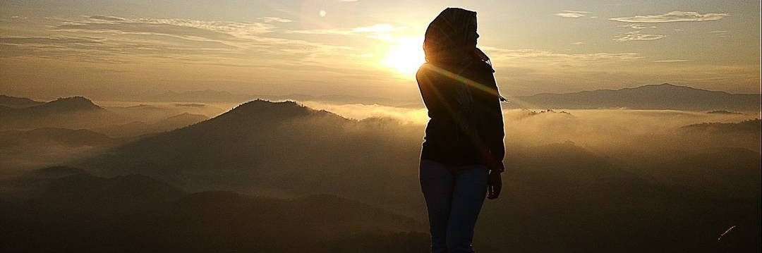 nusantari_'s profile banner image