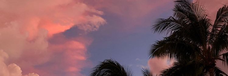 suspendbieber's profile banner image