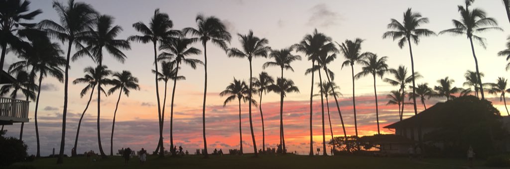 tealangston's profile banner image