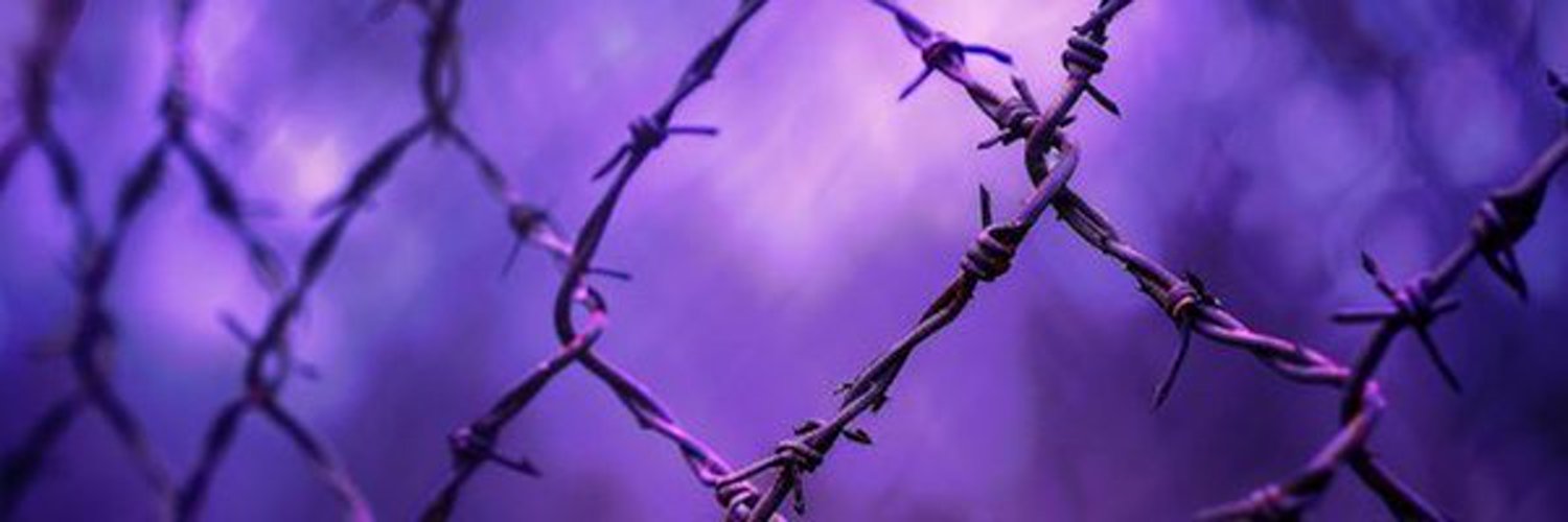 𝕿𝖍𝖊 𝕽𝖔𝖈𝖐𝖘𝖙𝖆𝖗. banner