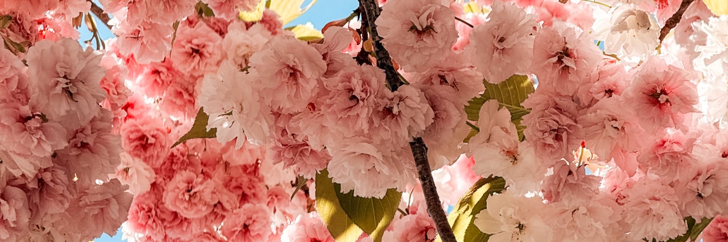 feb__f's profile banner image