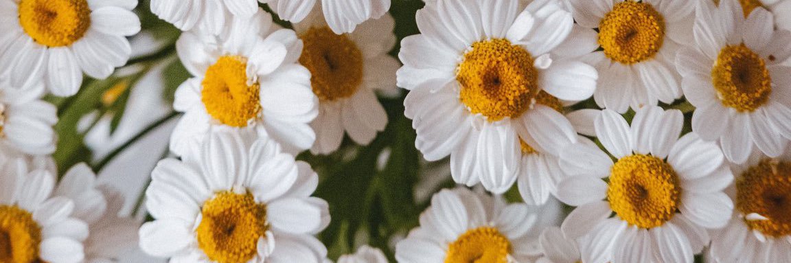 🖤ปิด🖤 banner