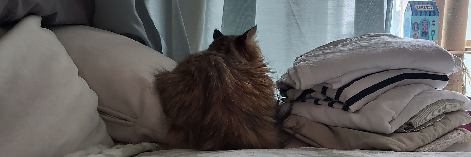 웃고살자 달고나🎗 banner