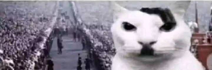 PyroTheCarameow's profile banner image