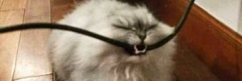 Purge banner