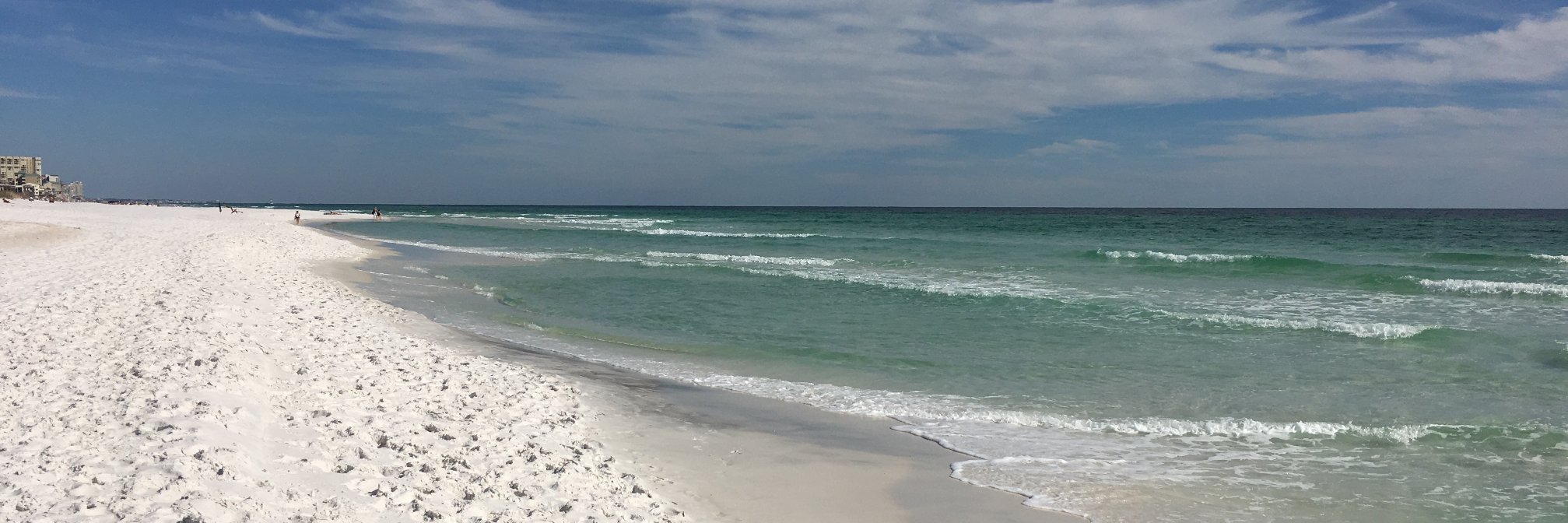 Kimberly Tran banner