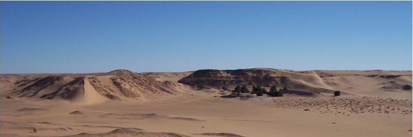 Agus Widjiastono banner