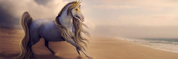 JiaoNever's profile banner image