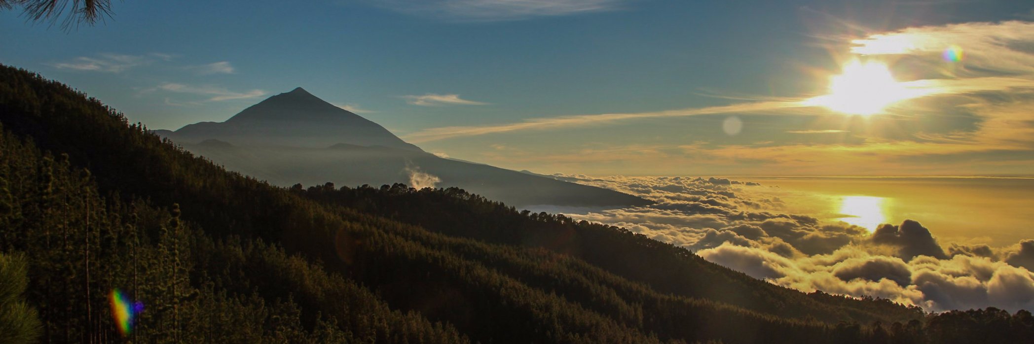 Miguel Veloso banner