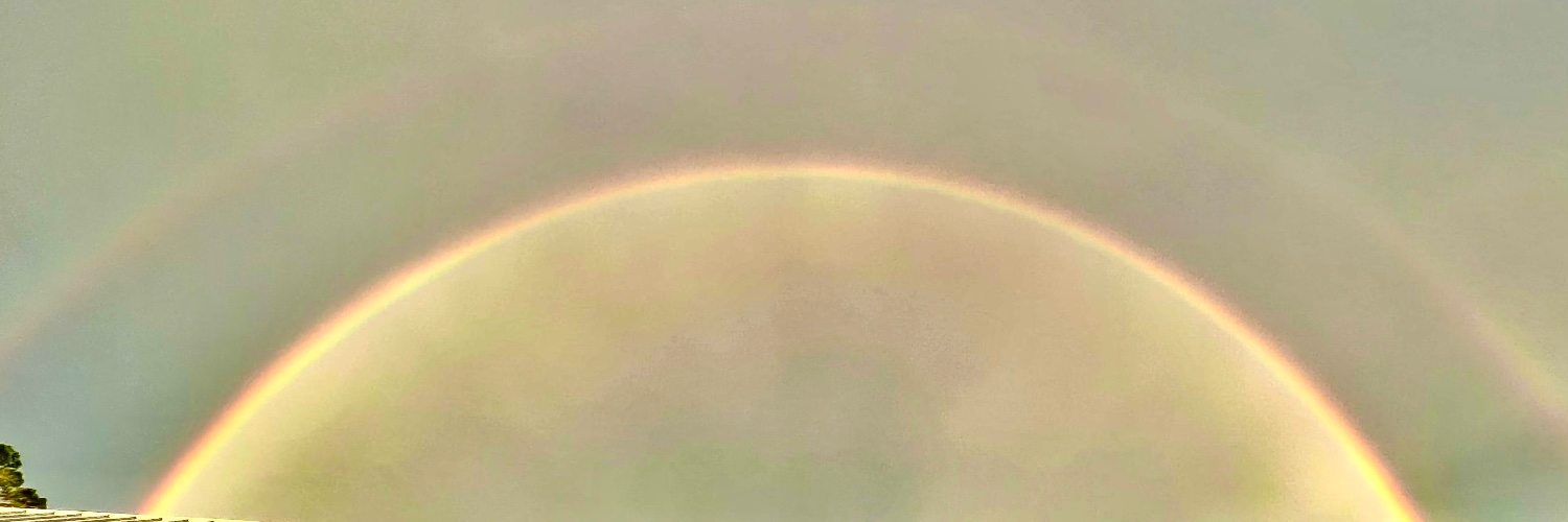 labella5's profile banner image