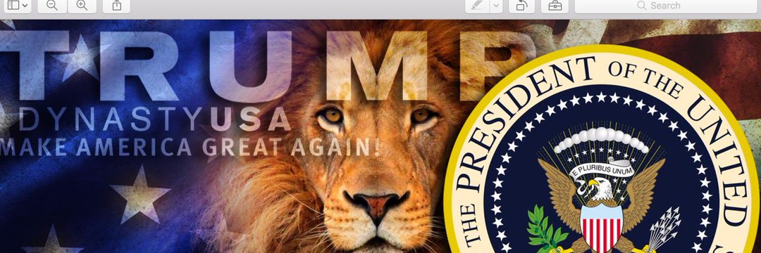 CJ. MAGA banner