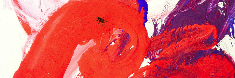 joeprobert's profile banner image