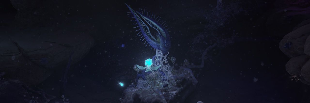 Bloom Node #6 banner