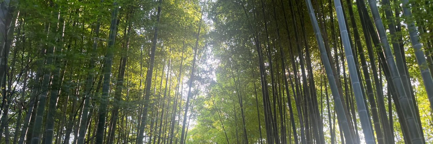 Alexandria Gregoire banner