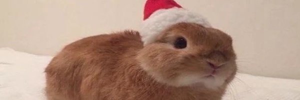 sebsbyte Profile Banner