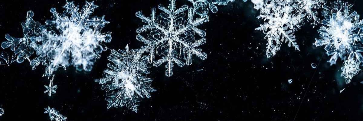 冬雪 banner
