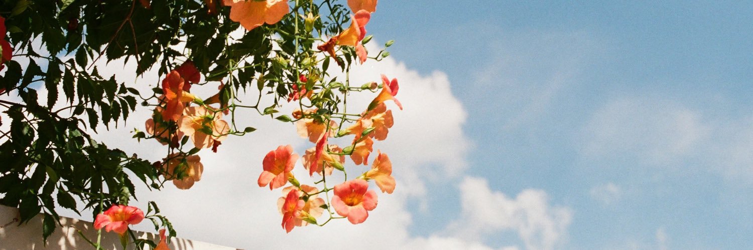 _BS1119's profile banner image
