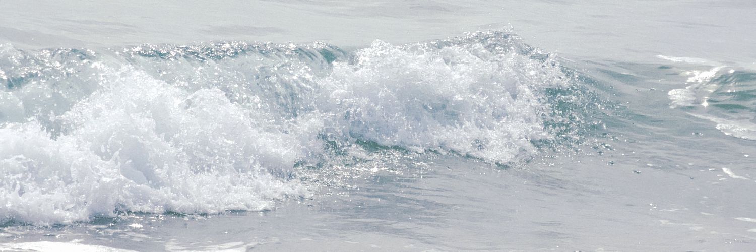 _wish_wave's profile banner image