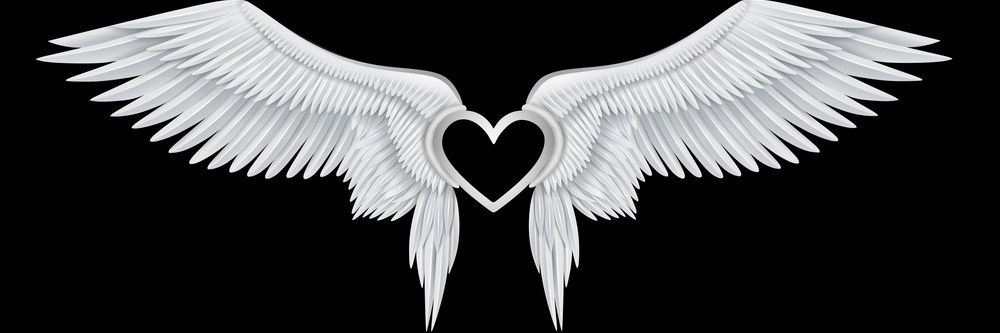 Frankpkopp's profile banner image
