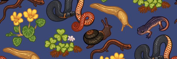 fossilforager Profile Banner