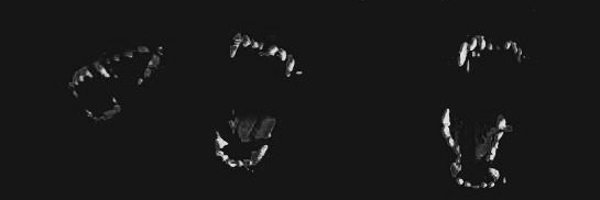 ARTISTWOLFLYRIC Profile Banner