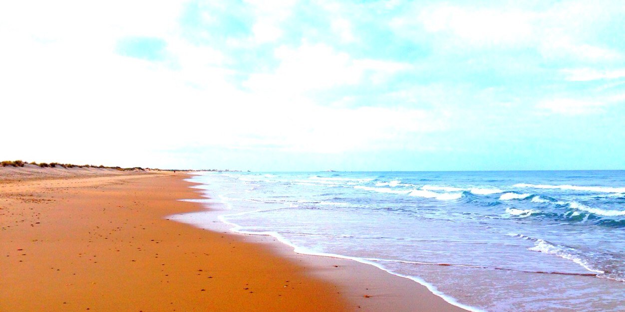 vc_madison's profile banner image