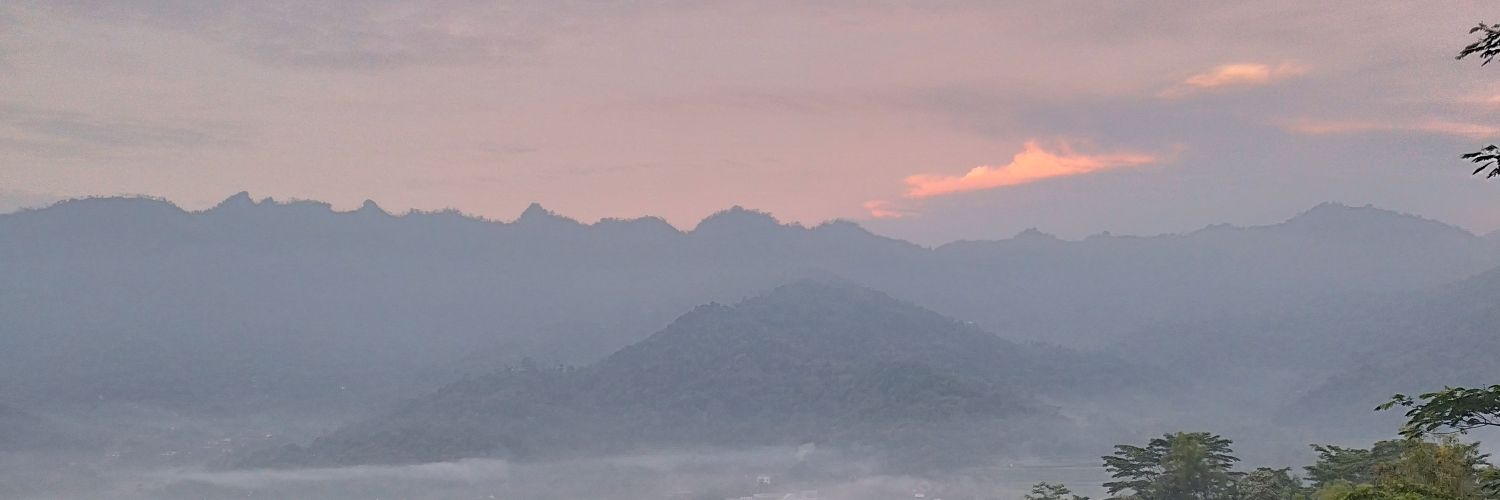 selaju_'s profile banner image
