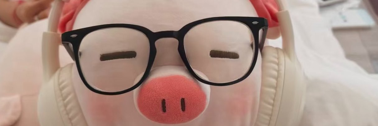 linlin5545's profile banner image