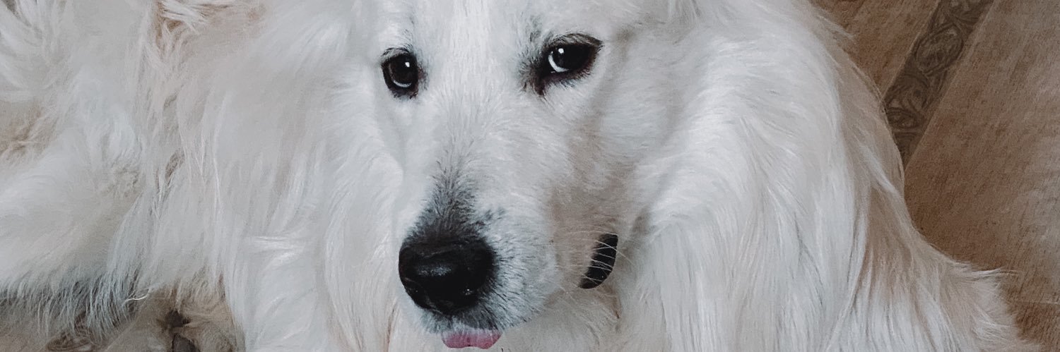 coindemoncoeu's profile banner image
